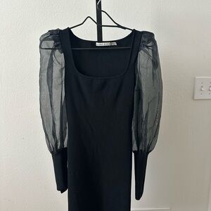 Alice + Olivia Black Dress with Sheer Long Sleeves